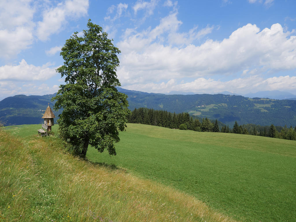 Alpengasthof Moser Karchau Bagian luar foto