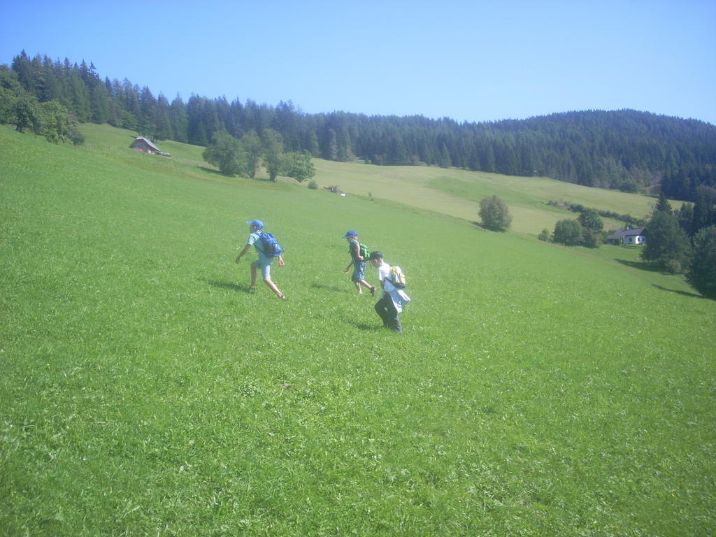 Alpengasthof Moser Karchau Bagian luar foto